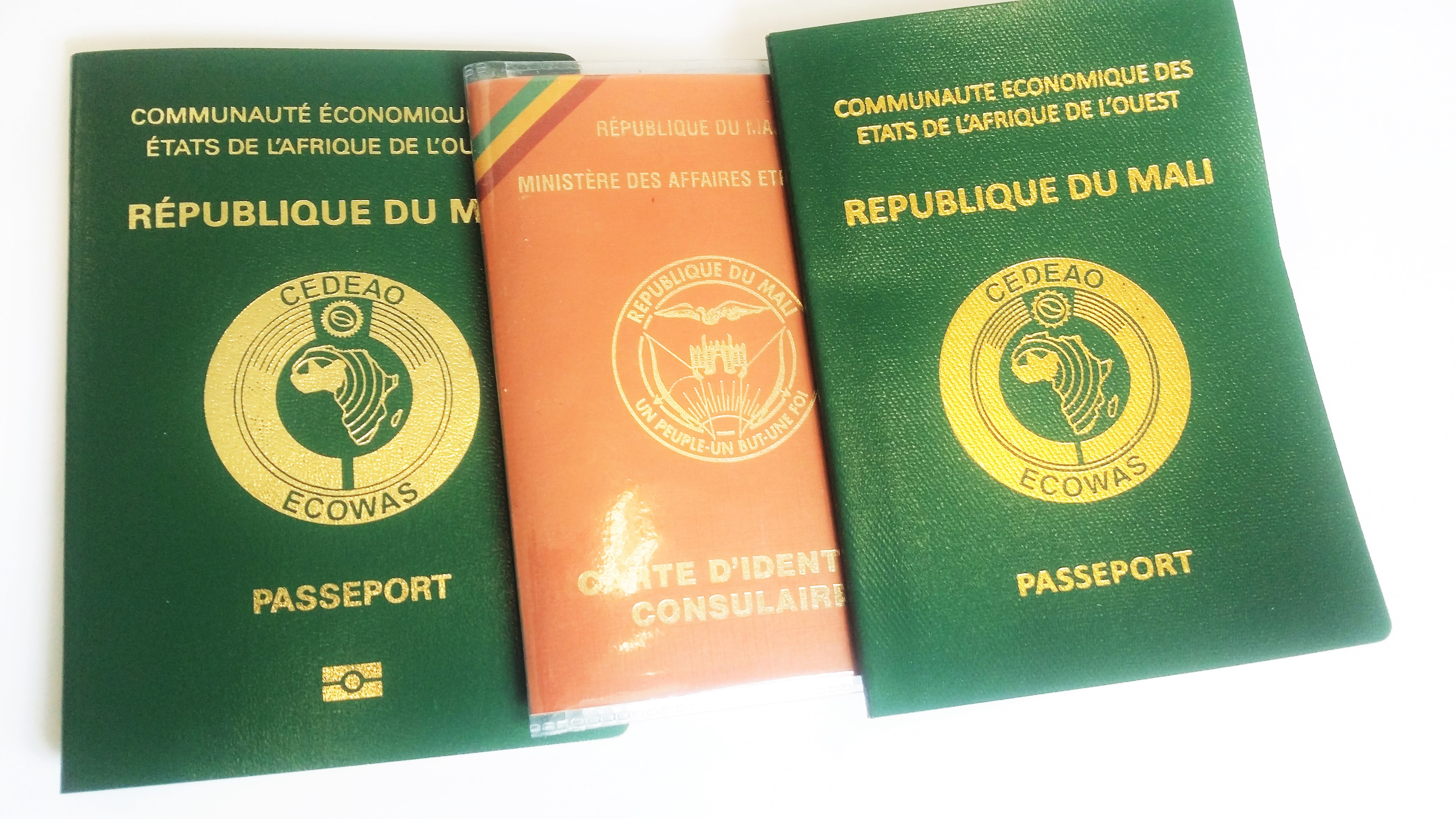 Vietnam visa for citizens of Mali