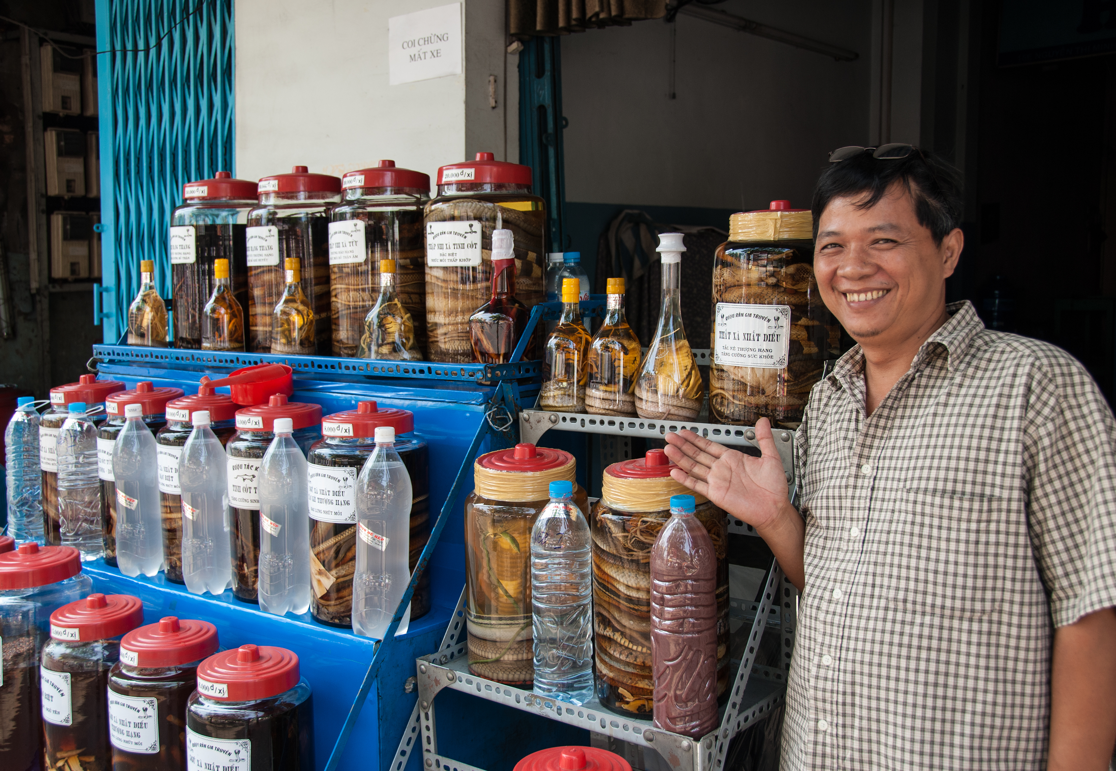 Vietnamese snake wine