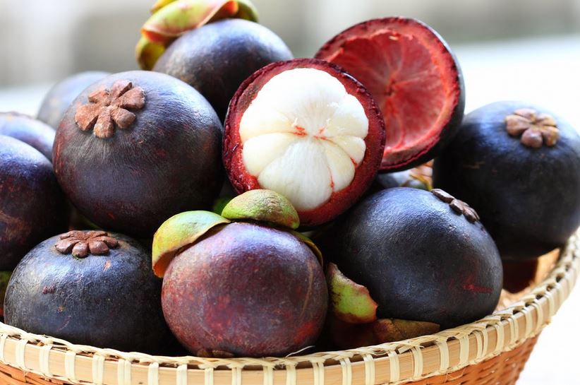 Mangosteen