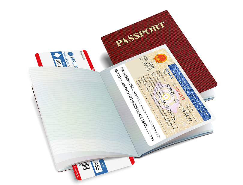 International passport with Vietnamese visa