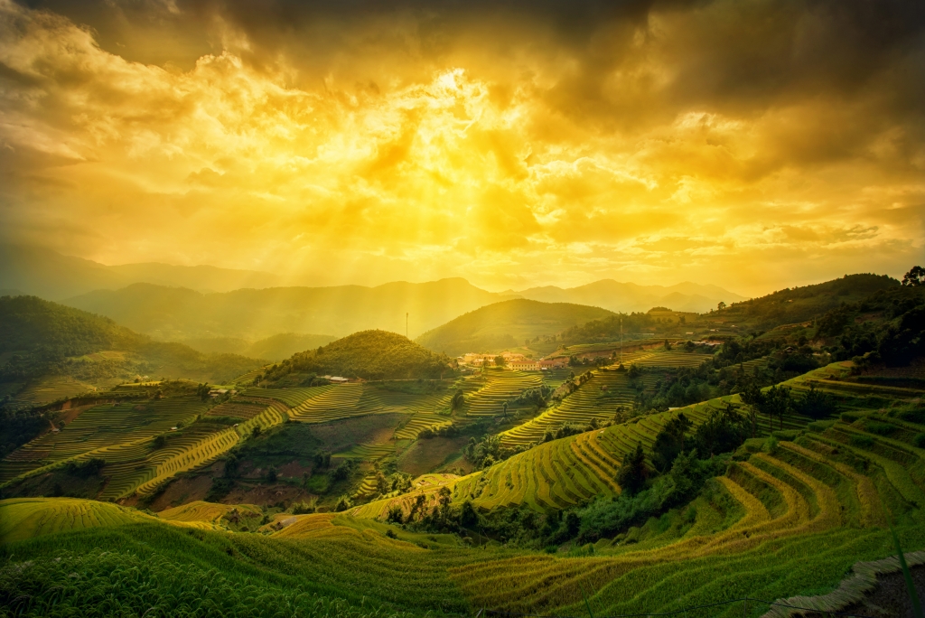 Rice fields on terraced in sunset at Mu Cang Chai, Yen Bai Province, Vietnam
