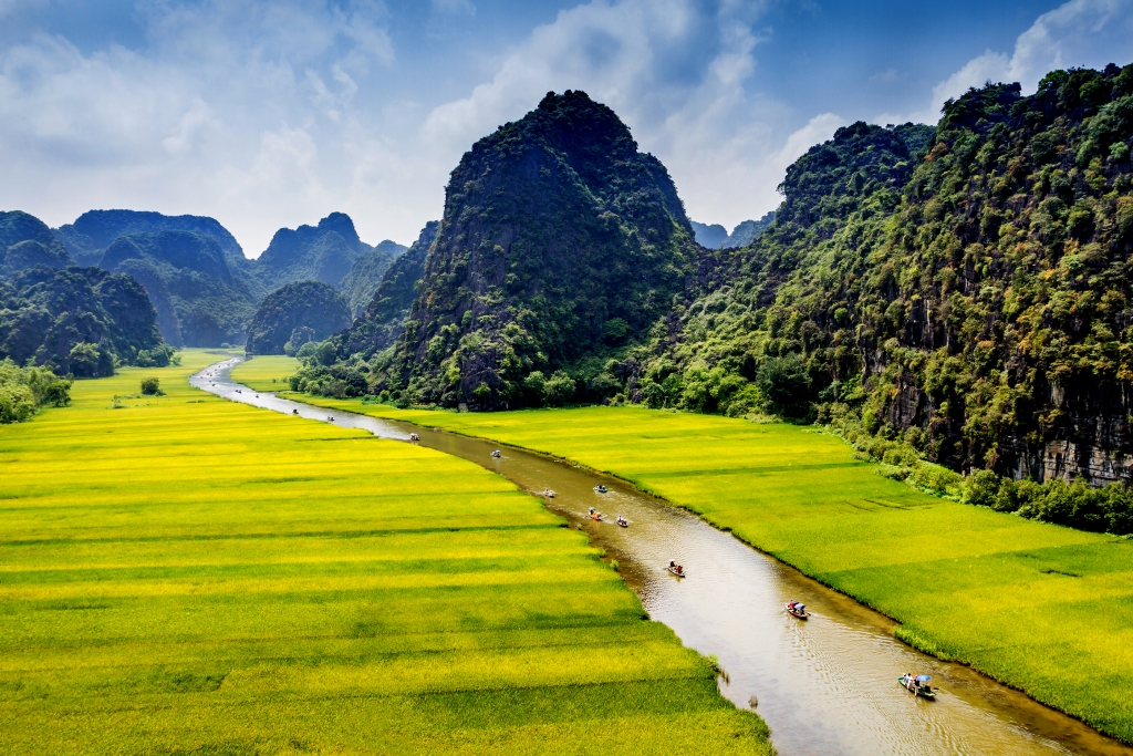 Scenery of rice fields with a river inside (Ngo Dong river) in Ninh Binh