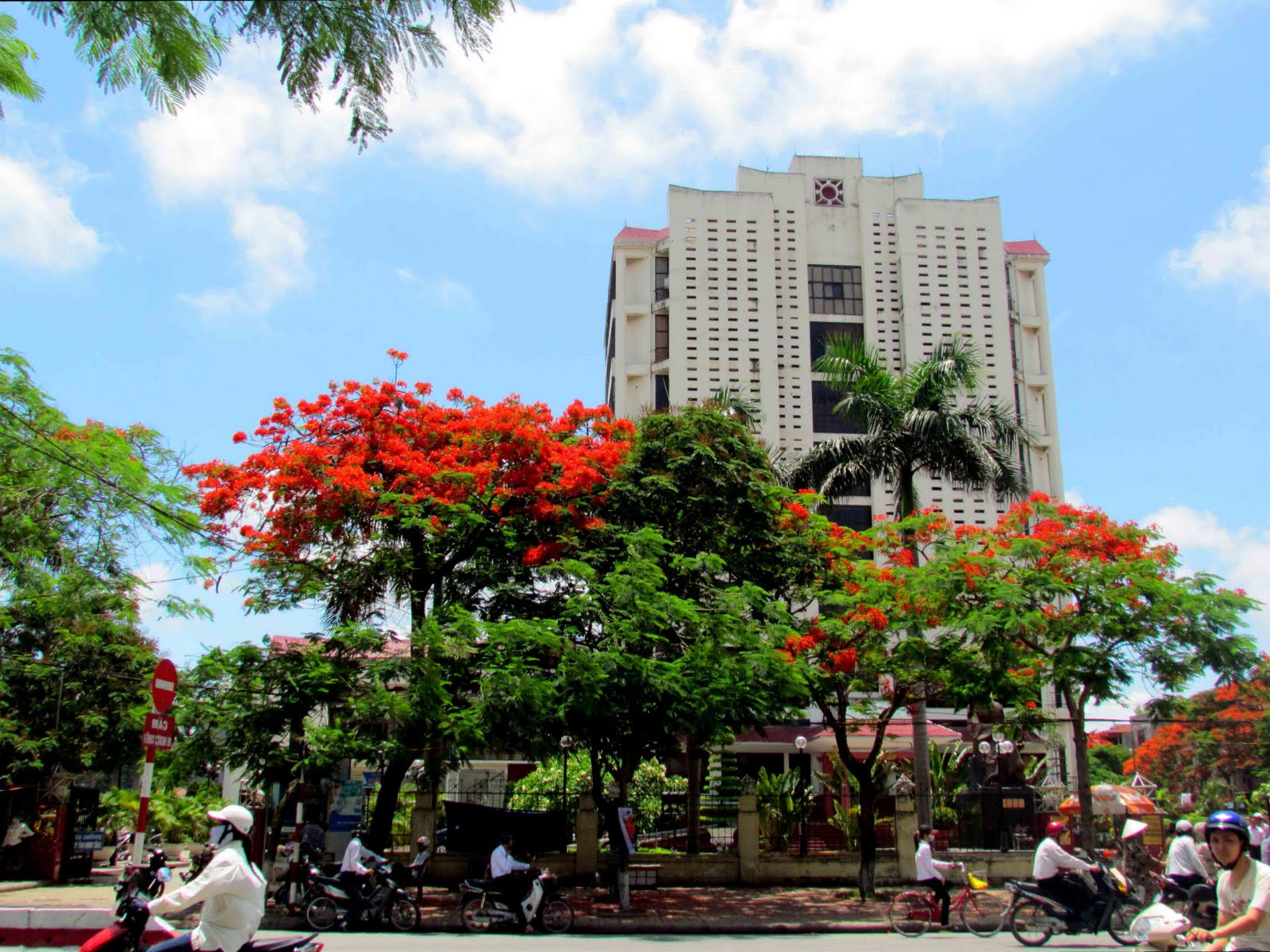 A corner of Hai Phong city with Flame Thrower trees showing off their beautiful red blossoms