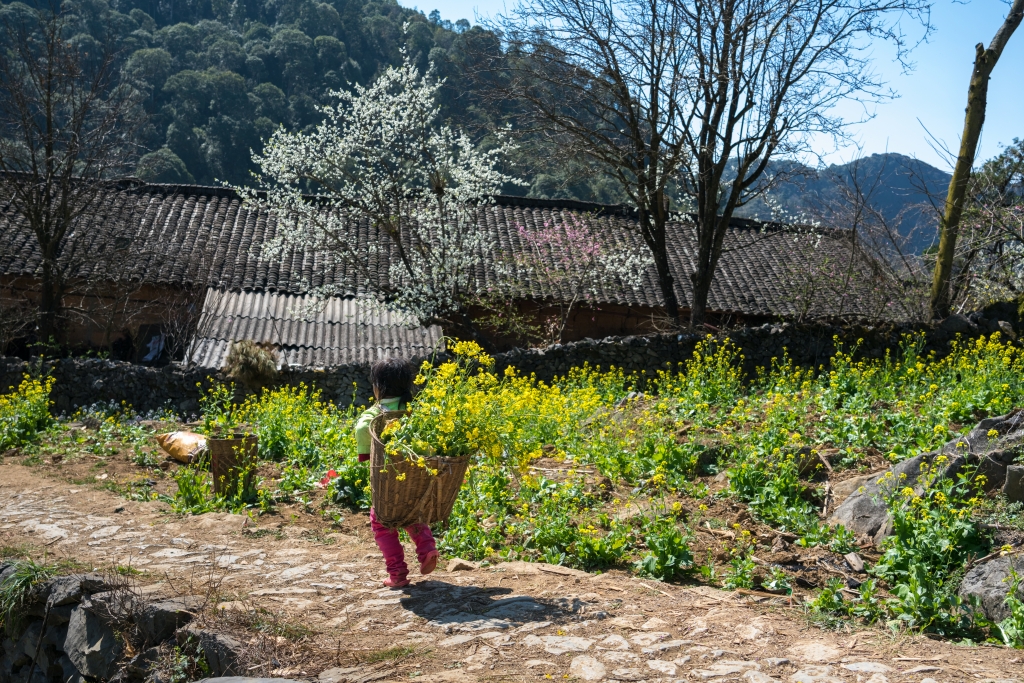 Spring is coming in Ha Giang, Vietnam
