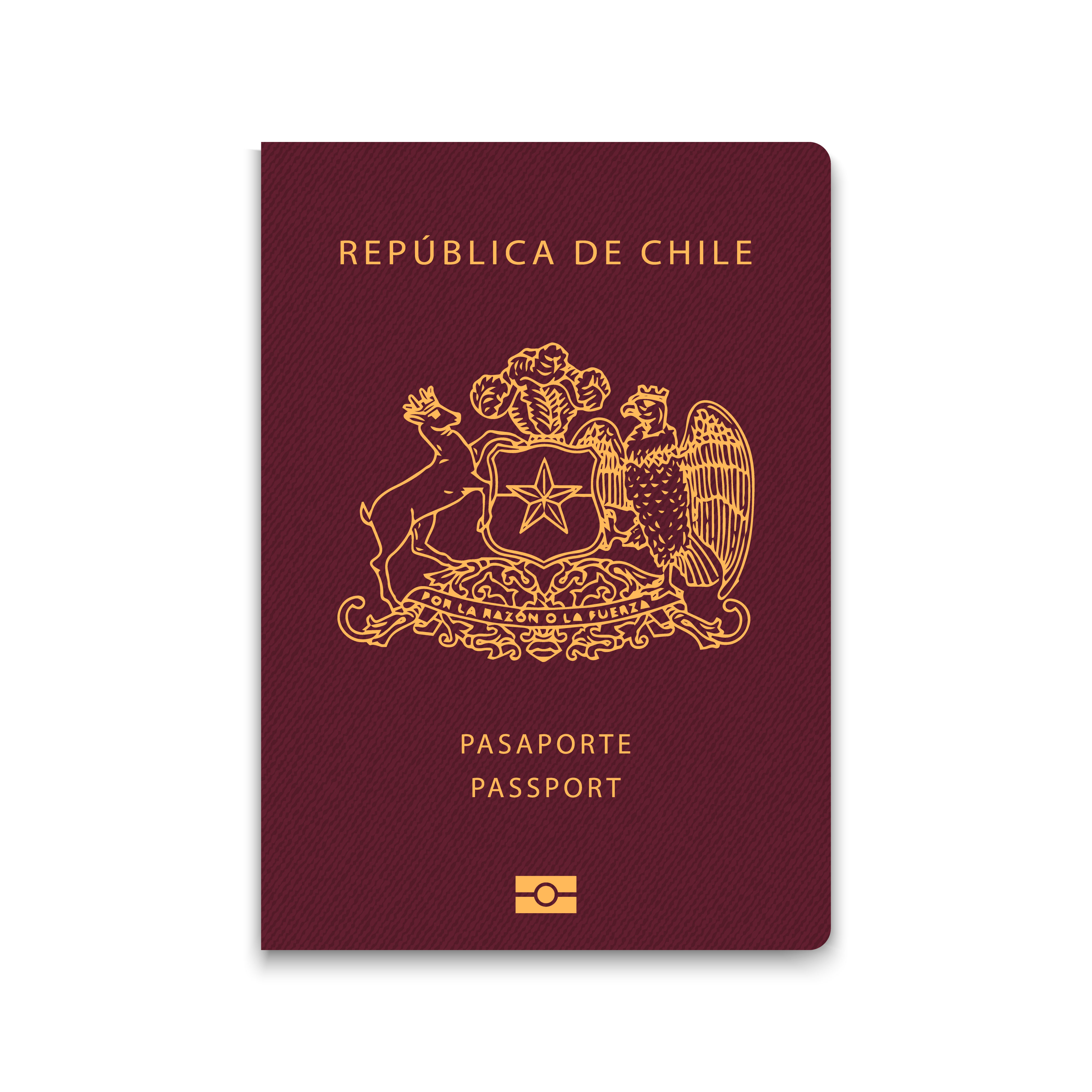 Vietnam visa for Chilean passport holder