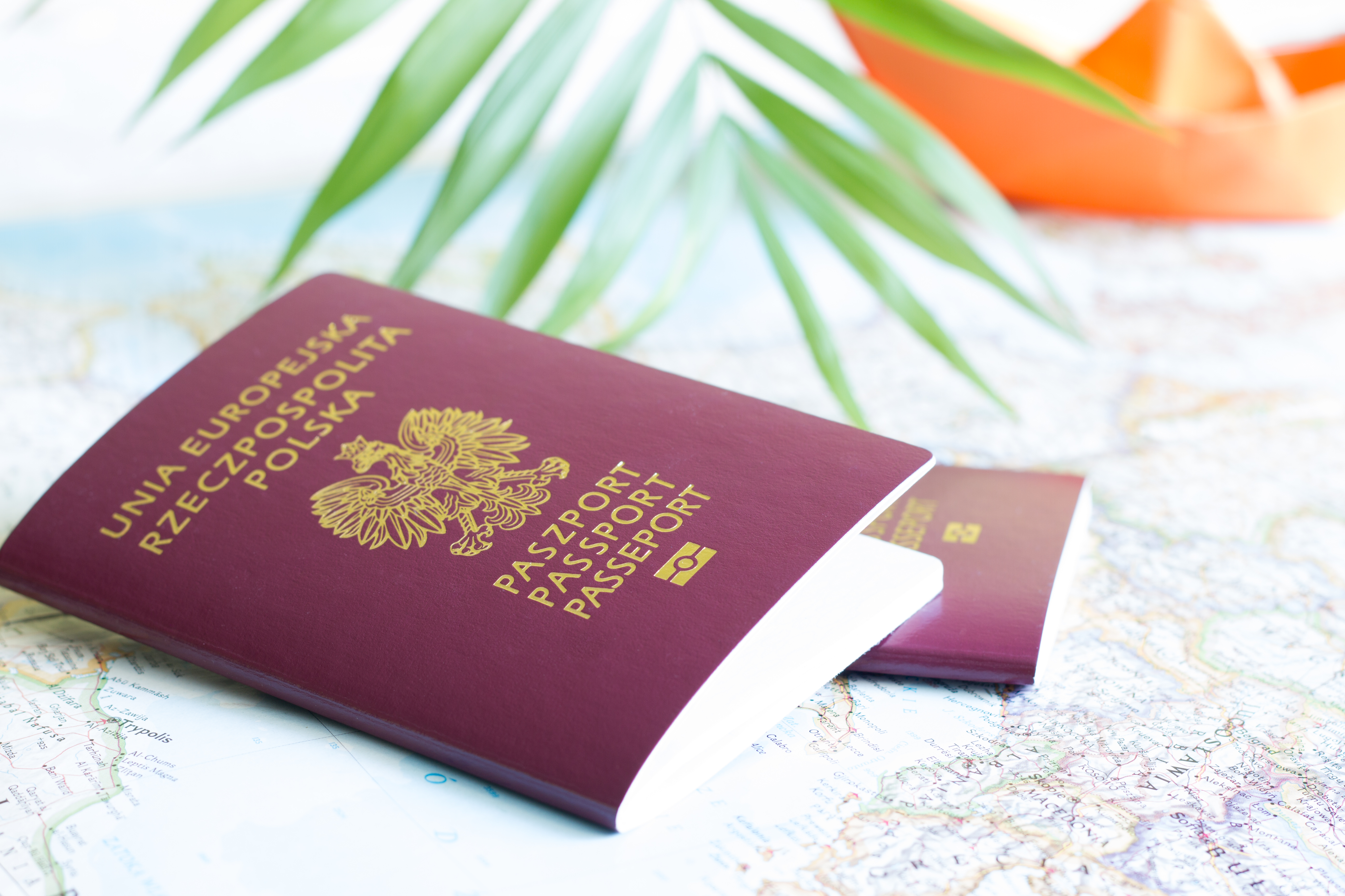 Vietnam visa for Polish passport holders