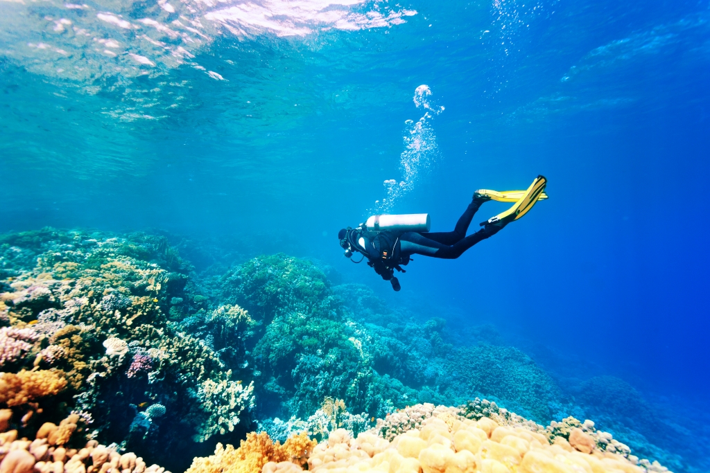 A scuba diver swimming under water