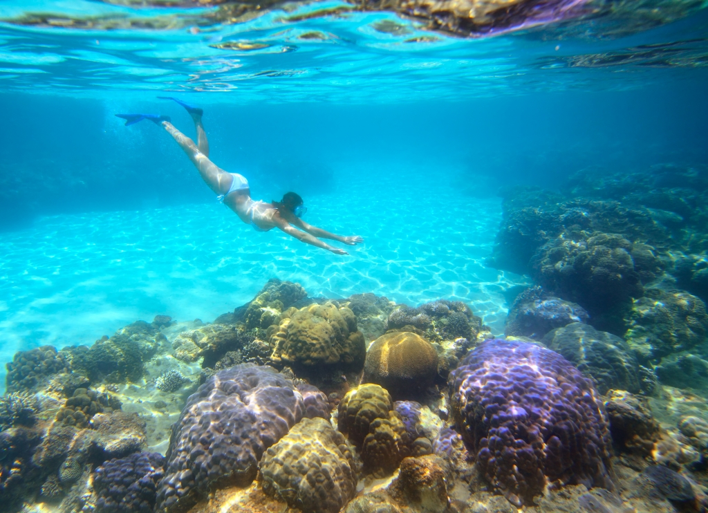 A tourist snorkeling in the beautiful coral reef with lots of fish