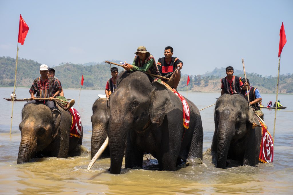 A view of an elephant racing festival by Lak lake in Dak Lak, central highland of Vietnam