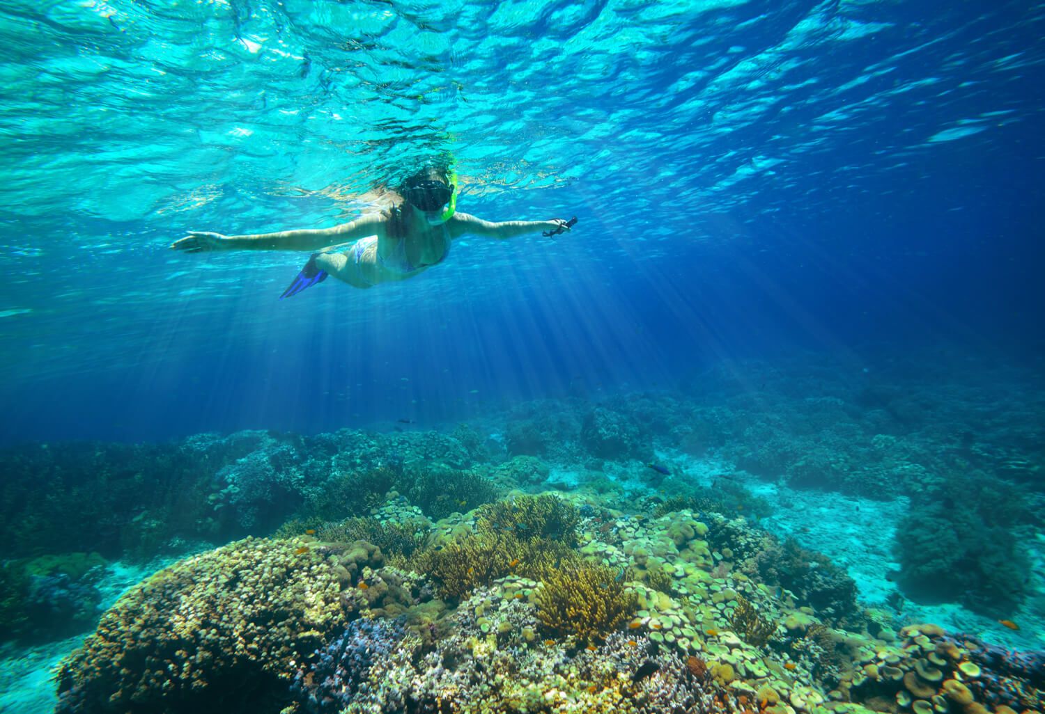 The best diving spots in Vietnam Vietnam Travel & Visas for Indians